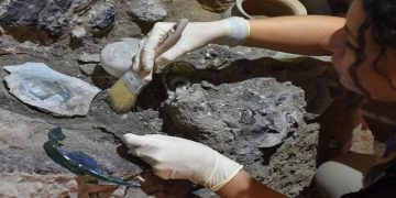A person works on archaeological remains of glass plates, ceramic bowls and vases are discovered in a dig near the ancient Roman city of Pompeii, destroyed in 79 AD in volcanic eruption, Italy, 2022.