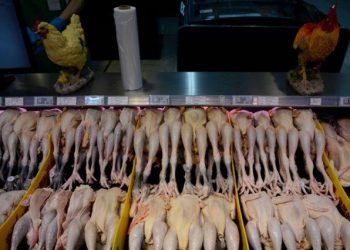 FILE PHOTO: Chickens for sale are seen at a Walmart in Beijing, China September 23, 2019.