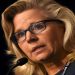 FILE PHOTO: US Representative Liz Cheney addresses the media during the 2017 "Congress of Tomorrow" Joint Republican Issues Conference in Philadelphia, Pennsylvania, U.S. January 25, 2017. REUTERS/Mark Makela/File Photo