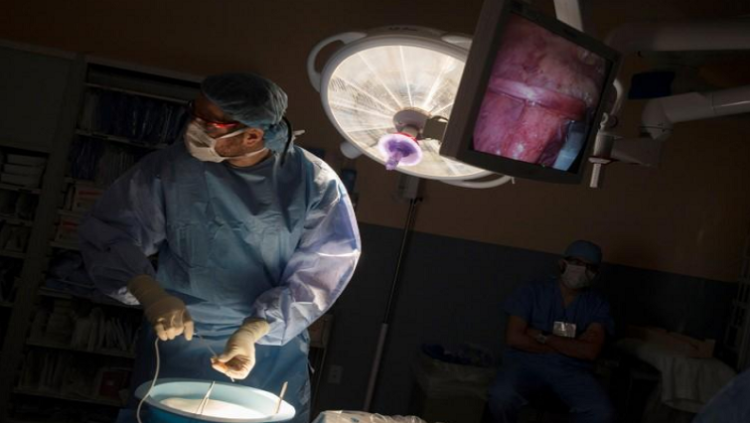 Surgeon Karim Zalazun looks at a monitor displaying a donor kidney for patient Adam Abernathy, who participated in a five-way organ transplant swap, in New York, August 1, 2012.