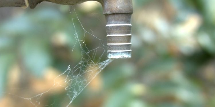An old dry tap with a spider web is illustrated.