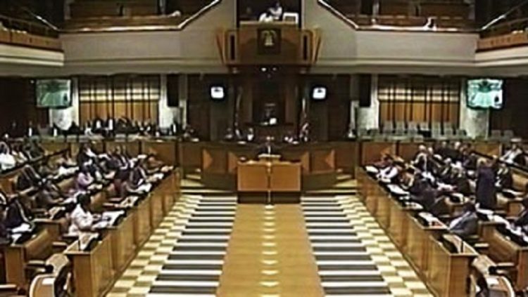 Lawmaking processes and oversight functions of Parliament.