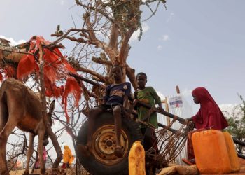 Internally displaced children pose for a photo next to a donkey-cart outside their makeshift shelters at the Kaxareey camp in Dollow, Gedo region of Somalia May 24, 2022