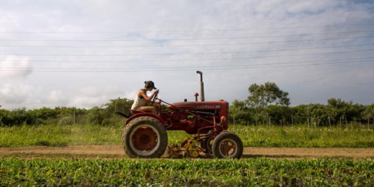 A person seen driving a tractor on a farm