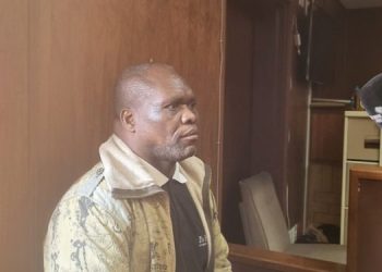 [File Image] One of the men accused of the murder of Hillary Gardee, Mduduzi Gama, testifies before the Nelspruit Magistrate's Court in Mbombela, Mpumalanga.
