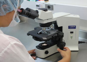 microscope laboratory diagnosis
Image : Pixabay