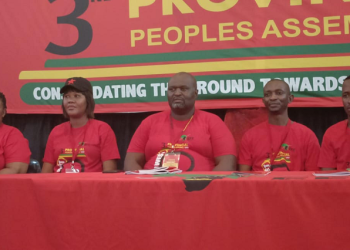 The newly elected Eff provincial leadership