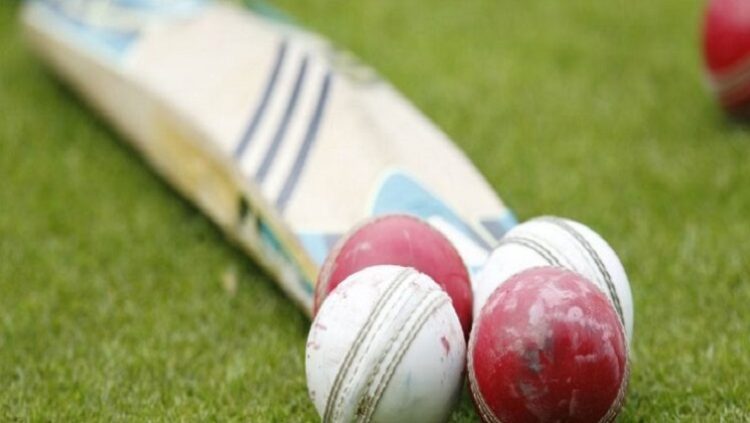 [File Image]: A bat and cricket balls seen on a pitch.