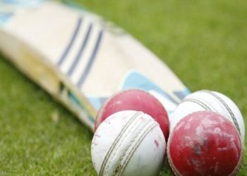 [File Image]: A bat and cricket balls seen on a pitch.