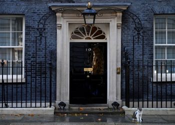 Larry the cat sits outside Number 10 Downing Street following British Prime Minister Liz Truss resignation speech, in London, Britain, October 20, 2022.