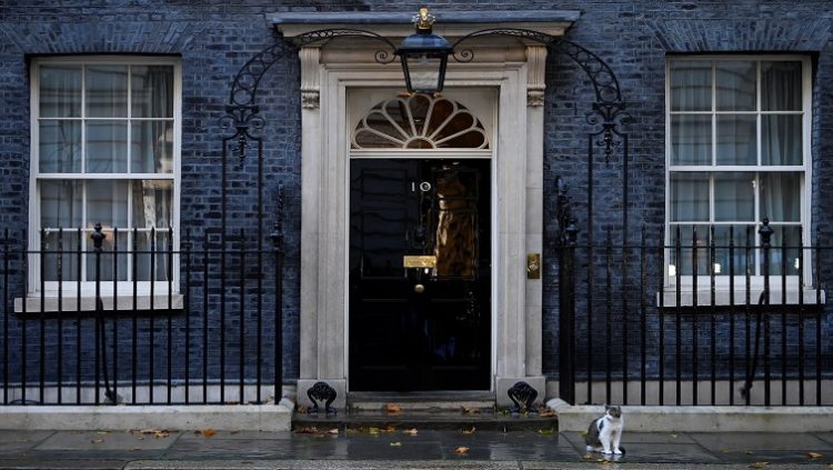 Larry the cat sits outside Number 10 Downing Street following British Prime Minister Liz Truss resignation speech, in London, Britain, October 20, 2022.