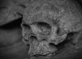 A skull monochrome