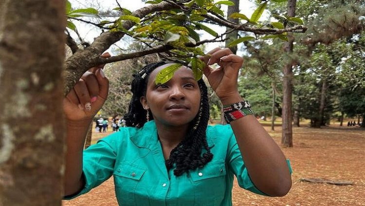 Elizabeth Wathuti, Kenyan environment and climate activist looks at the leaves of a tree during a Reuters interview at the Nairobi Arboretum.