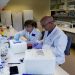 Technicians prepare vine samples for DNA extraction at the Vine and Wine Research Institute (ICVV) in Logrono, Spain, October 5, 2022.