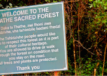 Signage of the Thathe Vondo Forest.