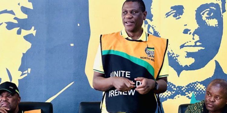 ANC Treasurer General Paul Mashatile addressing volunteers during the party's Letsema campaign in Ditsobotla Municipality.