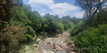 The Jukskei River passing through Rivonia in Sandton where search teams have begun searching for the remaining bodies of a church congregation that drowned during a baptism ceremony in the river on Saturday.