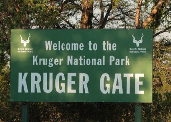 [File image] Kruger National Park board