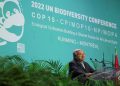 UN Secretary-General, Antonio Guterres delivers a speech during the opening of COP15, the two-week U.N. Biodiversity summit, in Montreal, Quebec, Canada.