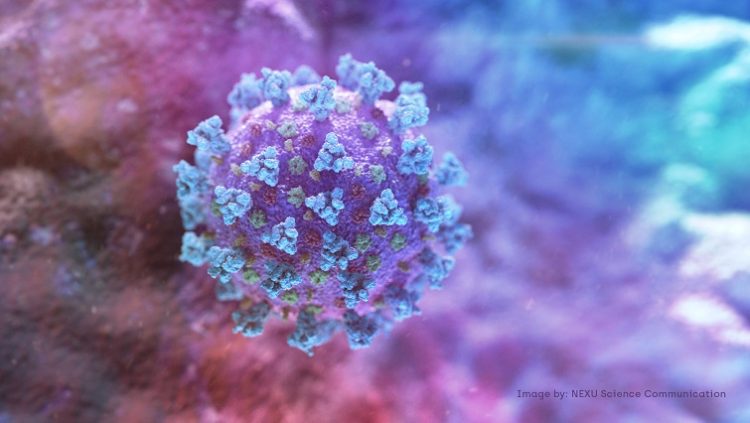 FILE PHOTO: A computer image created by Nexu Science Communication together with Trinity College in Dublin, shows a model structurally representative of a betacoronavirus which is the type of virus linked to COVID-19.