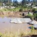 Homes in Hammersdale, KZN submerged in water following the floods in April 2022