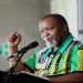 Gwede Mantashe at the ANC Free State Provincial onference.