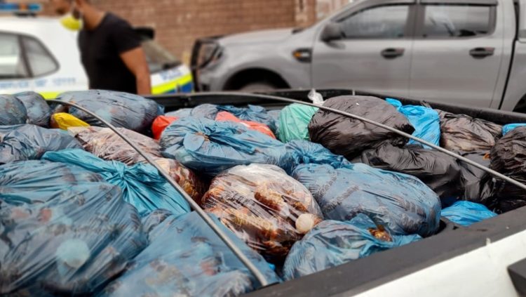 (File Image) Crayfish tails worth an estimated R1.1 million confiscated in Vredenburg in March 11, 2022.