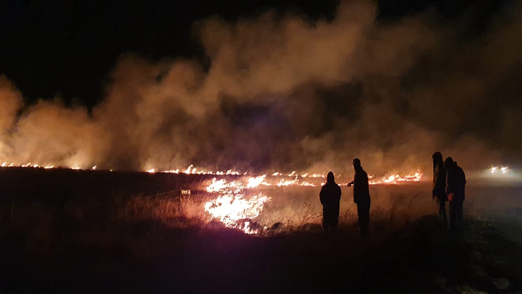 A file image of veld fire.