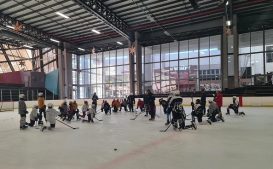 People in an ice hockey rink