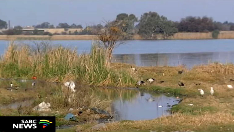 Nkomazi Municipality found criminally liable for water pollution